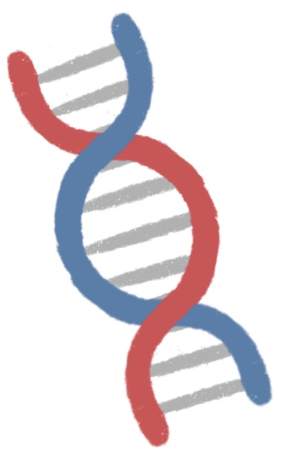 DNA