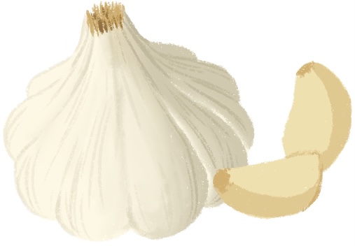 garlic