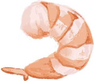 shrimp