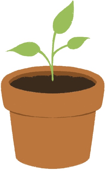 plant in a pot